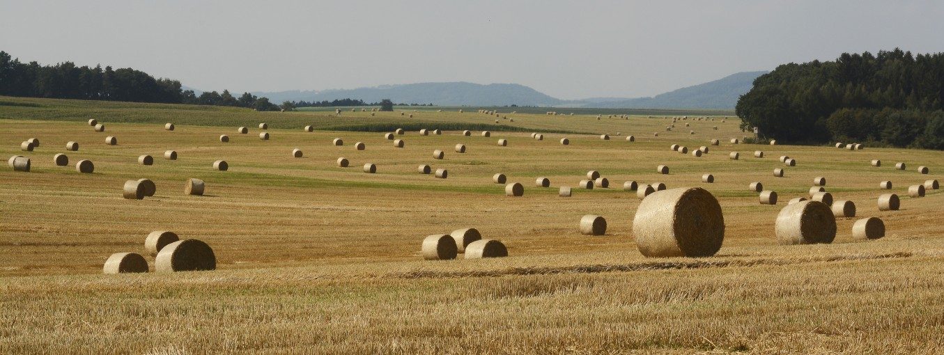 Drchlava a okolí