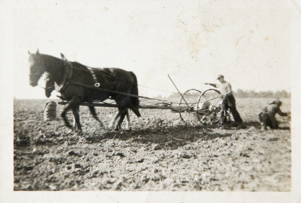 Fotoarchiv Eppert