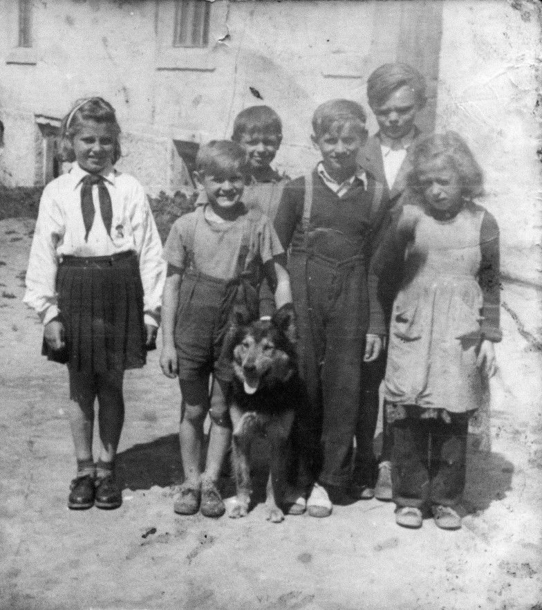 Fotoarchiv Nováková