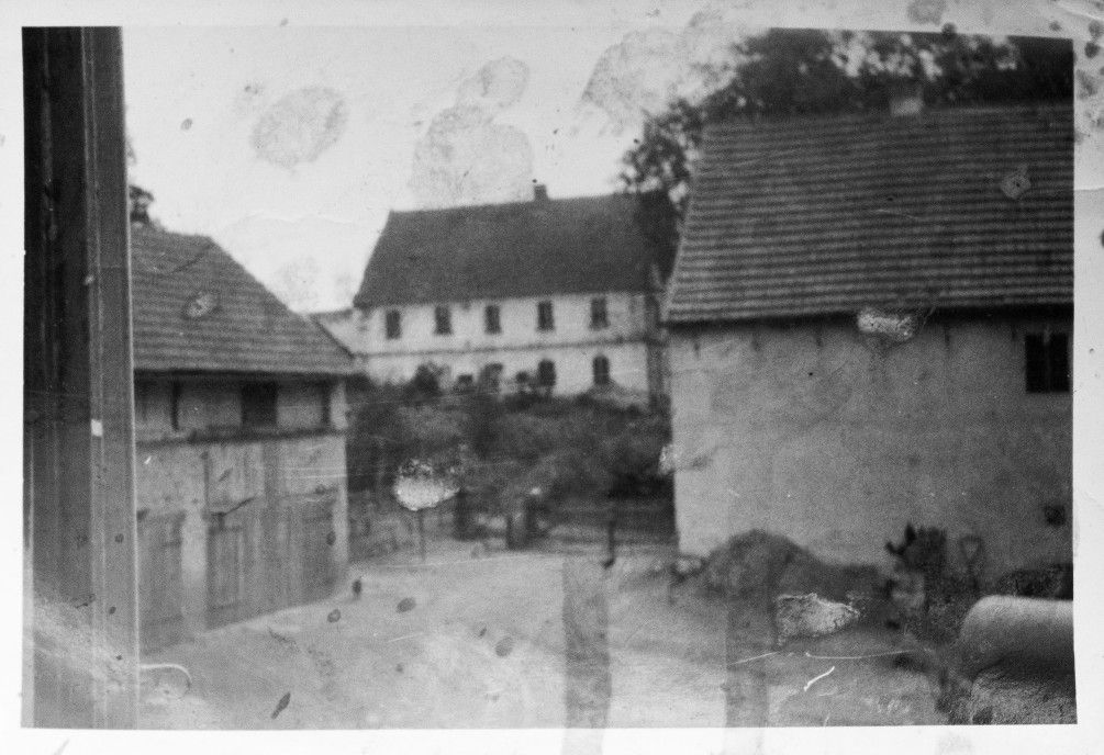 Fotoarchiv Nováková