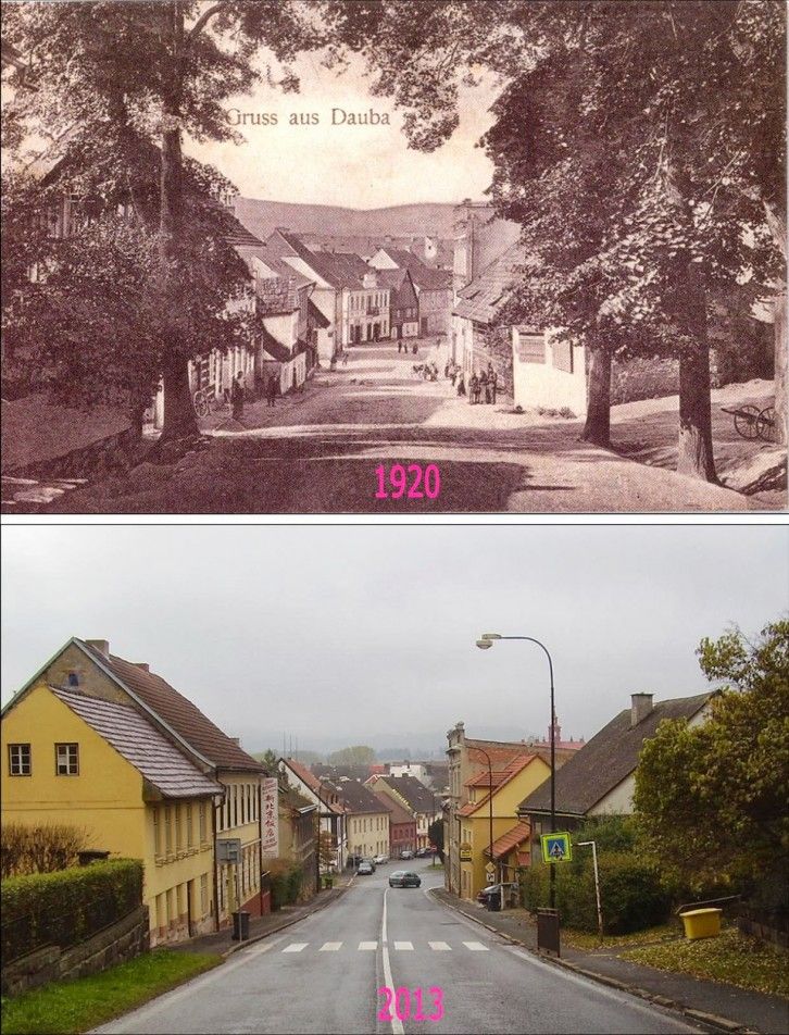 Dubá – srovnání