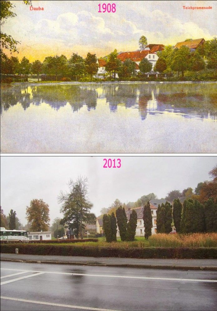 Dubá – srovnání