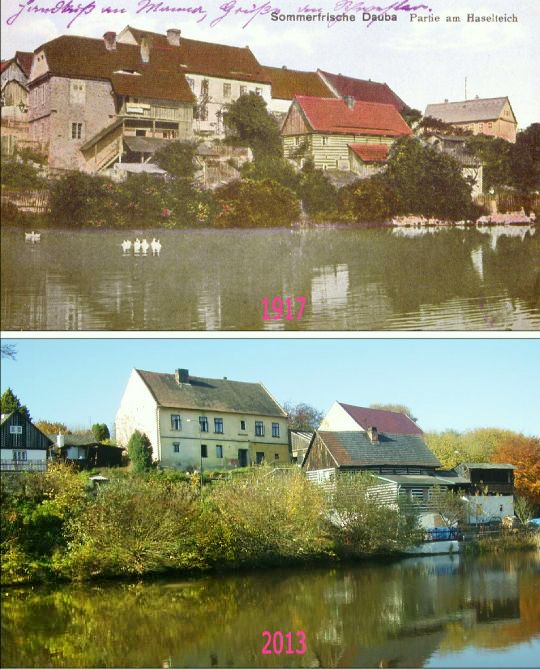 Dubá – srovnání