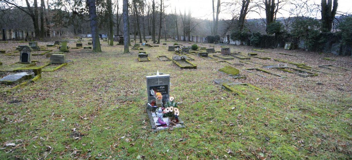 Náš hřbitov – Hasina, Drchlava