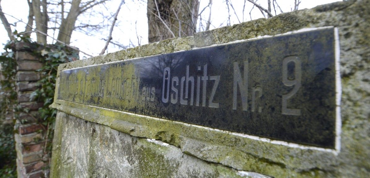 Náš hřbitov – Hasina, Drchlava